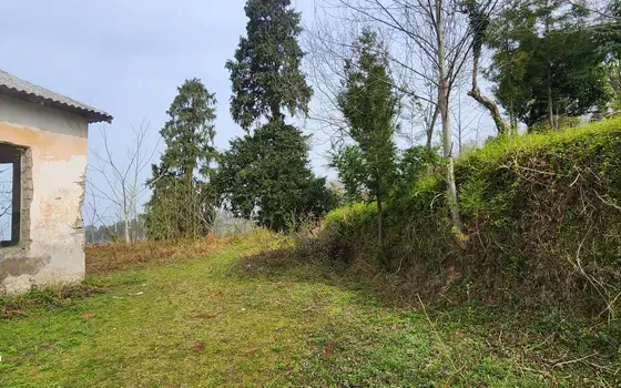 1392 m² Plot with Sea View, photo 5