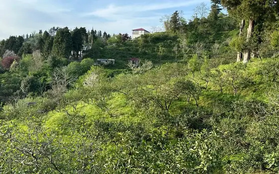 Продается земельный участок с видом на море и горы.