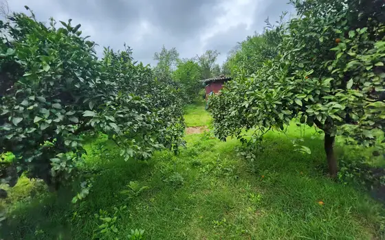 Продам земельный участок в 10 км от города Батуми.