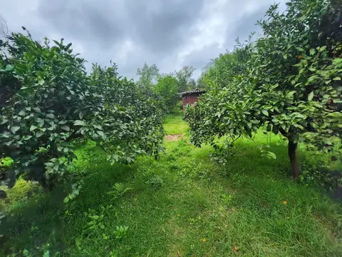 Продам земельный участок в 10 км от города Батуми.