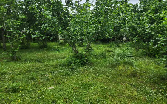 Продается земельный участок в Кобулетском районе.