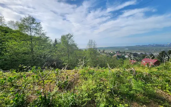 Инвестиционный земельный участок в село Ахалисопели.