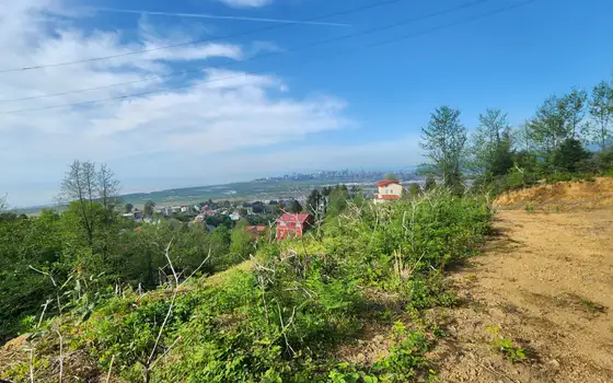 Инвестиционный земельный участок в село Ахалисопели.