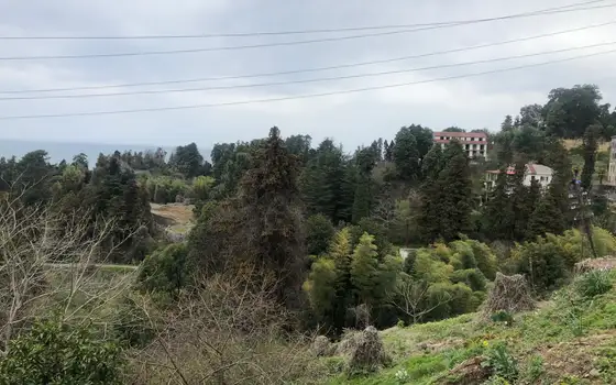 Sea View Land by Botanical Garden, photo 11