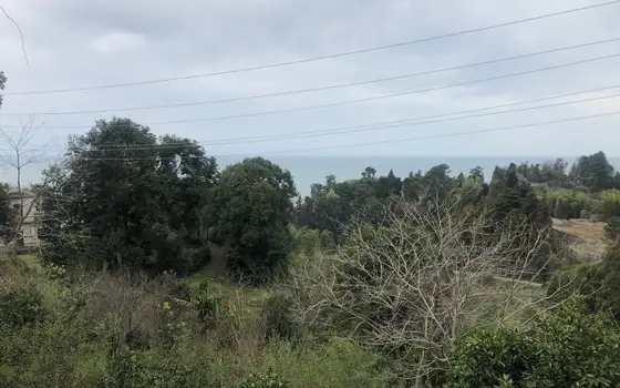 Sea View Land by Botanical Garden, photo 7