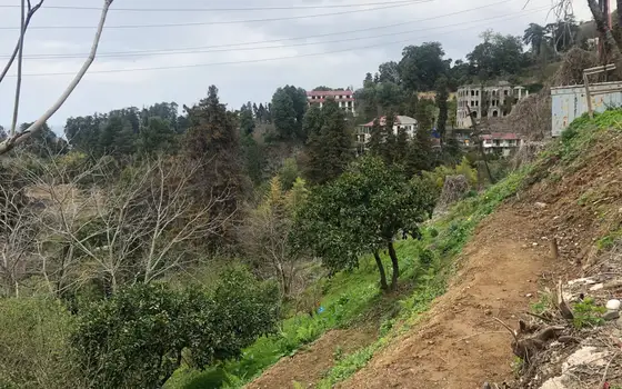 Sea View Land by Botanical Garden, photo 2