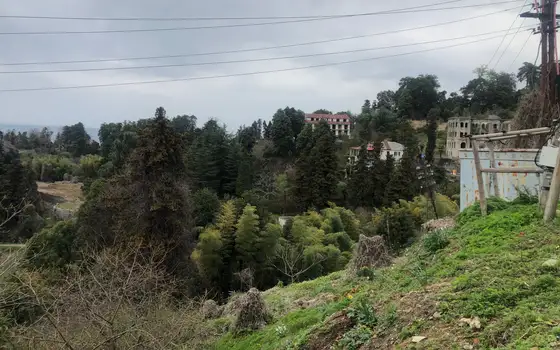 Sea View Land by Botanical Garden, photo 10