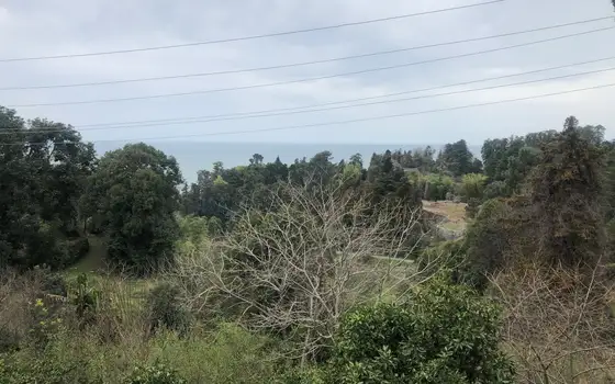 Sea View Land by Botanical Garden, photo 6