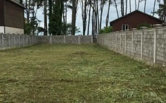 967 m² Land Plot in Grigoleti by Sea, photo 2