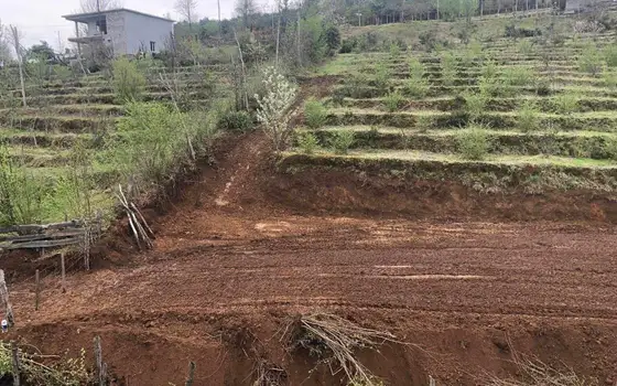 Инвестиционная недвижимость на продажу в Грузии.