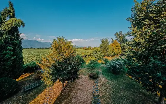 Грузия, Кахетия.