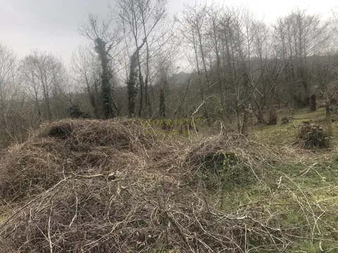 Продается земельный участок в городе Батуми с видом на горы и город.