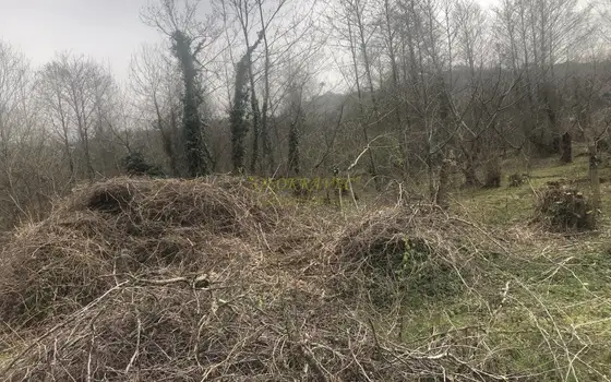 Продается земельный участок в городе Батуми с видом на горы и город.