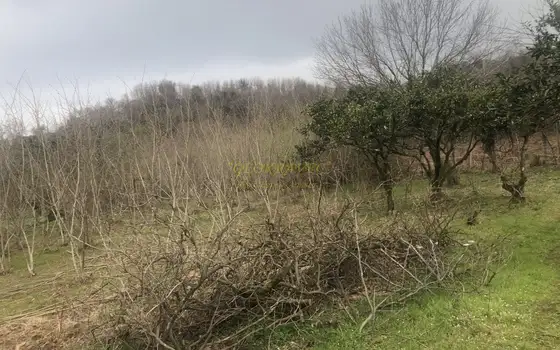 Продается земельный участок в городе Батуми с видом на горы и город.