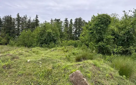 Продается срочно.