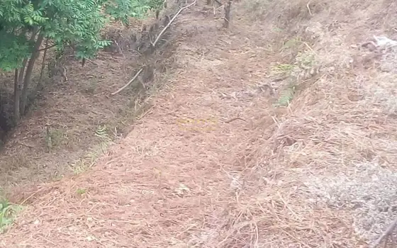 Земельный участок с видом на море и горы.