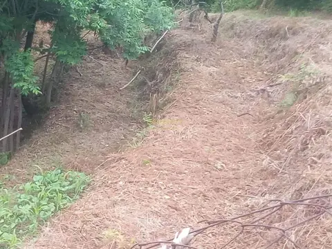 Земельный участок с видом на море и горы.