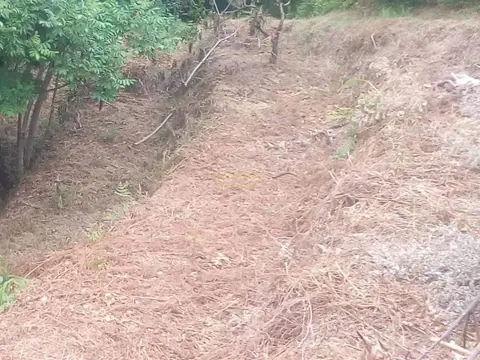 Земельный участок с видом на море и горы.