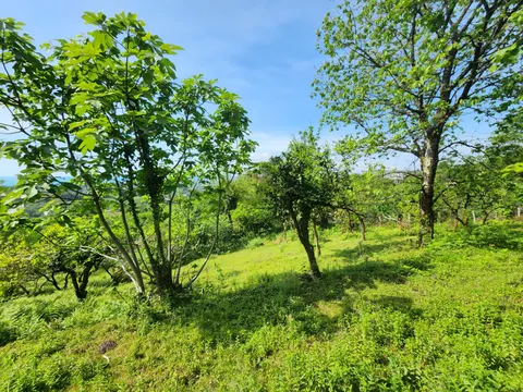 Частный дом с прекрасным панорамным видом.