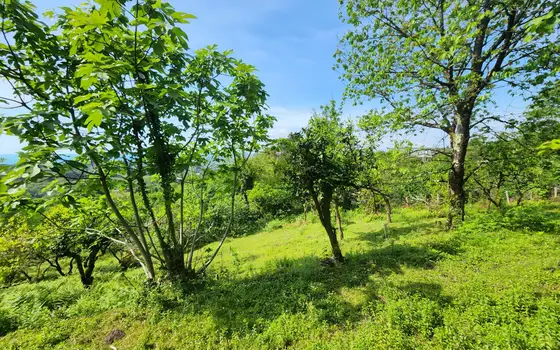 Частный дом с прекрасным панорамным видом.