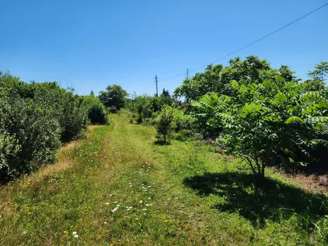 Собственный дом с участком земли.