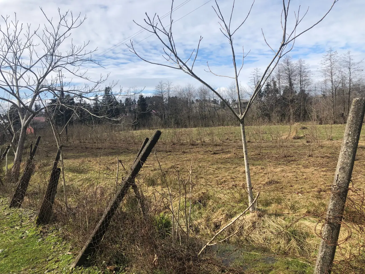 Investment Land Plot in Chakvi, photo 1