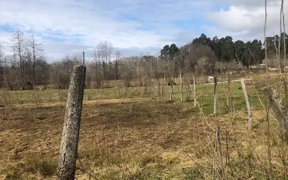 Investment Land Plot in Chakvi, photo 6