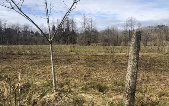 Продается земельный участок в Чакви с видом на горы от моря 1,50 км.