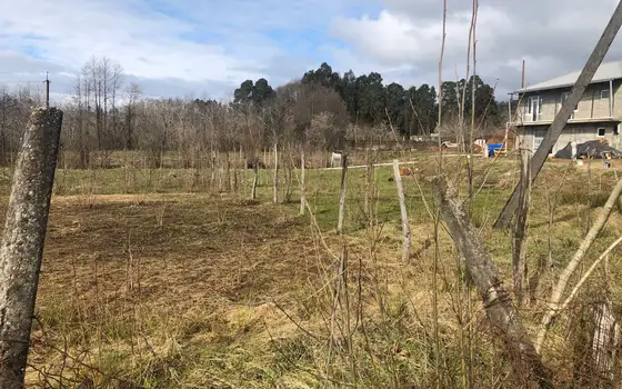 Investment Land Plot in Chakvi, photo 4