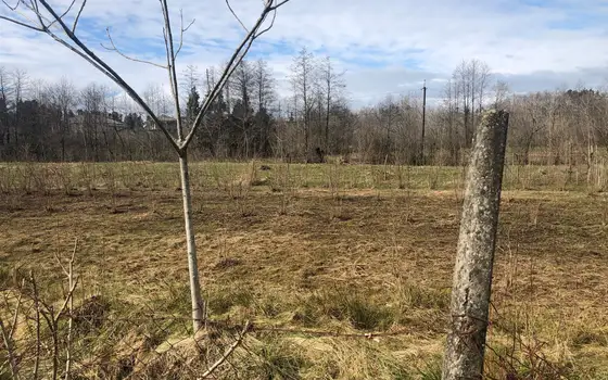 Investment Land Plot in Chakvi, photo 3