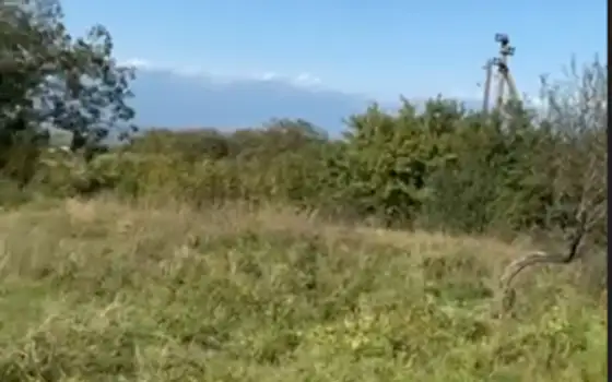 Участок в Карденахи с видом на Алазанскую долину - изображение 1