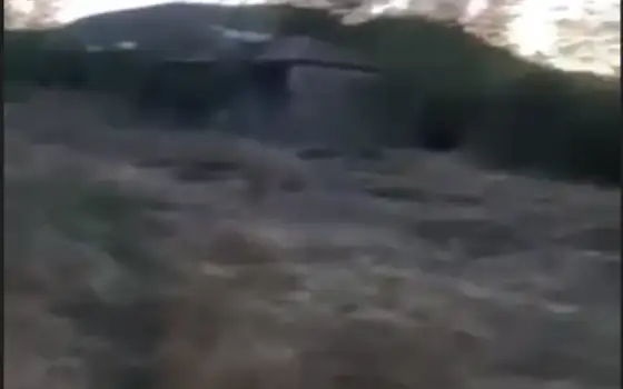 Земельный участок в Кахетии.