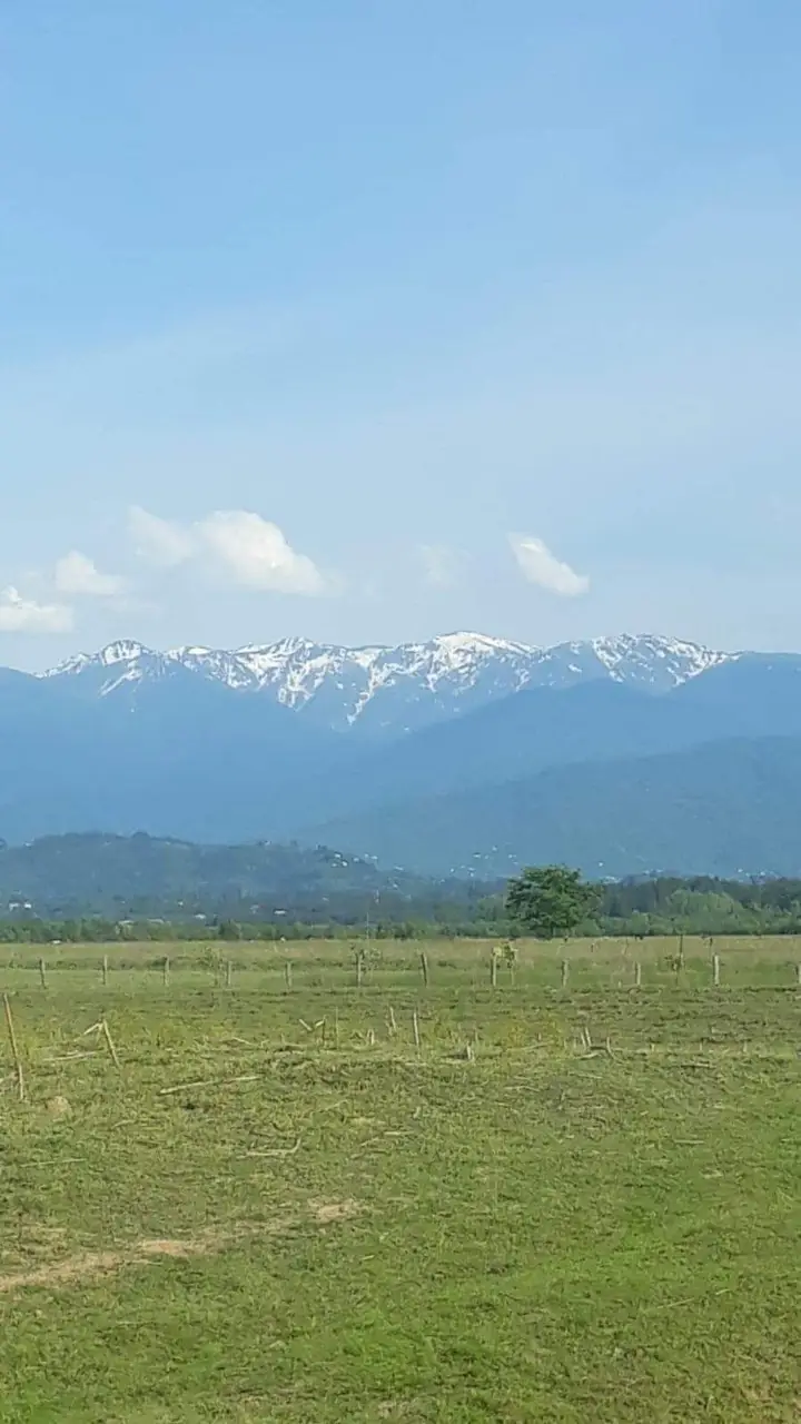 Urgent land plot in Gurianta, photo 1