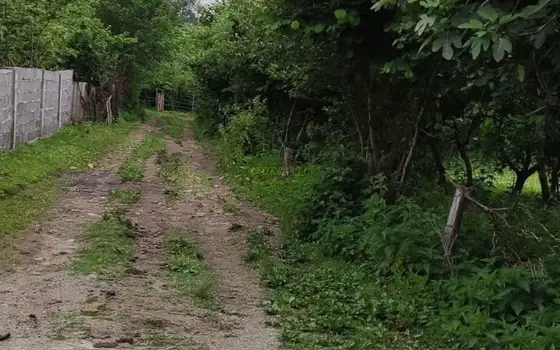 Продажа недвижимости.