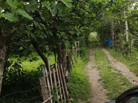 Продажа недвижимости.