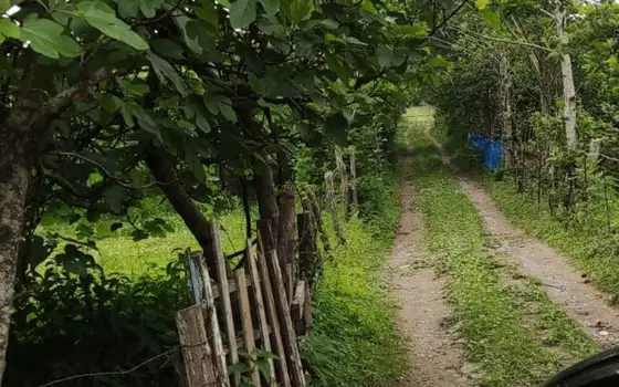 Продажа недвижимости.