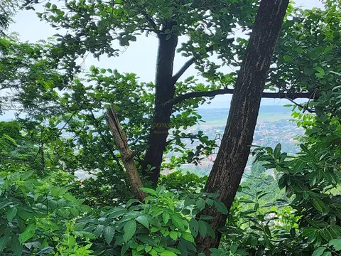 Продается земельный участок с видом на море.