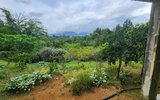 Продается собственный дом в муниципалитете Кобулети.