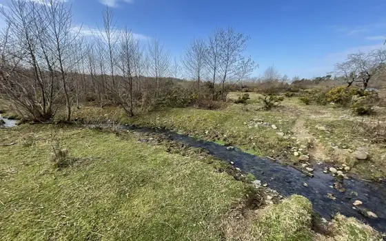 Лучшее инвестиционное предложение.