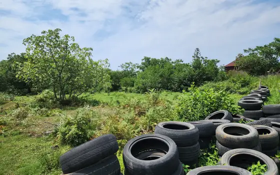 Продается земельный участок в городе Кобулети., фото 4