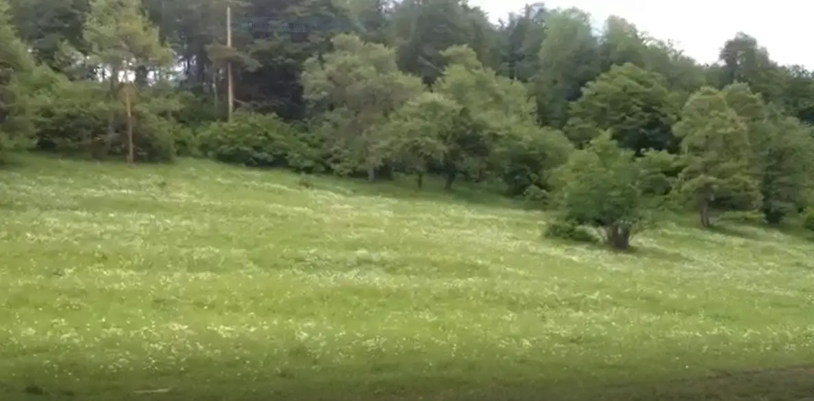 Investment Land Plot of 6,500 sq.m in Bakuriani with Mountain Views, photo 1