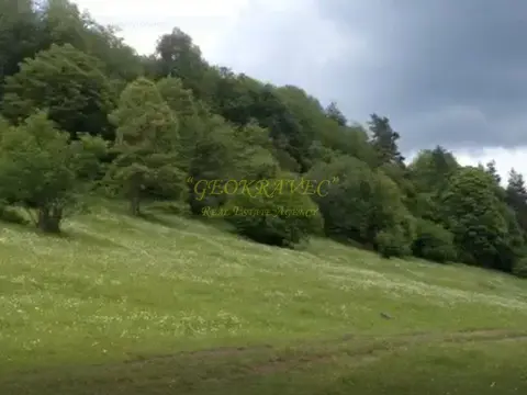 продается участок в грнолижном курорте Бакуриани. Грузия