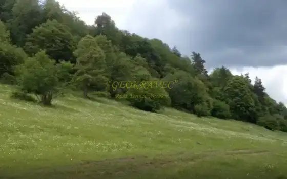продается участок в грнолижном курорте Бакуриани. Грузия