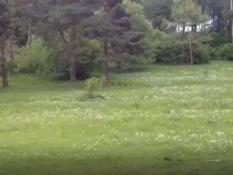 продается участок в грнолижном курорте Бакуриани. Грузия