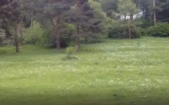 продается участок в грнолижном курорте Бакуриани. Грузия