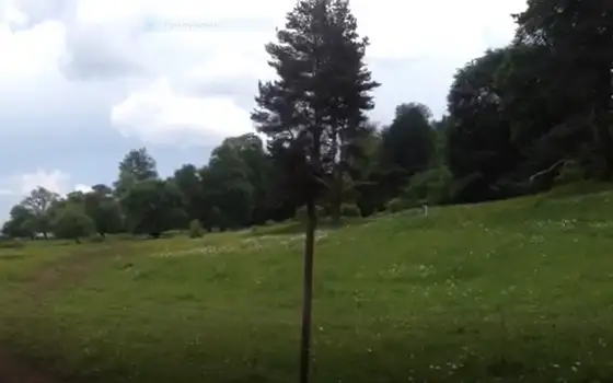 Investment Land Plot of 6,500 sq.m in Bakuriani with Mountain Views, photo 6
