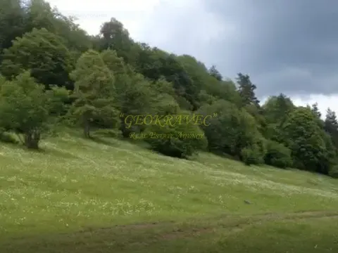 продается участок в грнолижном курорте Бакуриани. Грузия