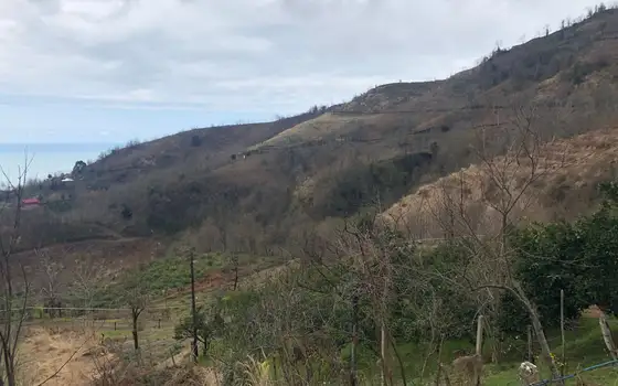 Продается земельный участок с  видом на море и горы в Махинджаури., фото 5