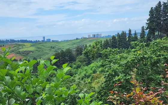 Земельный участок с прекрасным видом.