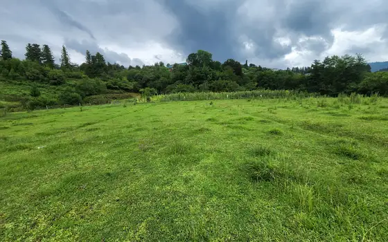 1100 m² Riverside Land Plot in Chaisubani, Chakvi, photo 11